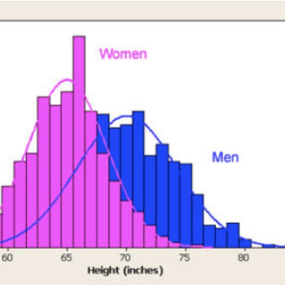 Meet your Posher, Yena - Picture 1 of 1